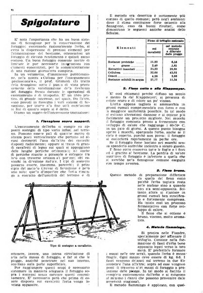 L'Italia agricola