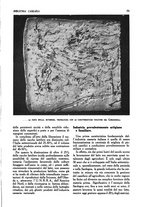 giornale/UM10003065/1945-1946/unico/00000983