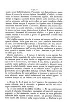 giornale/UM10003666/1881/unico/00000919