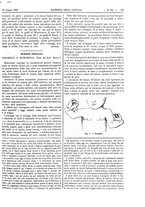 giornale/UM10003666/1882/unico/00000423