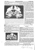 giornale/UM10003666/1883/unico/00000642