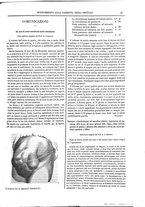 giornale/UM10003666/1883/unico/00000885