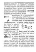 giornale/UM10003666/1885/unico/00000196