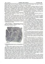 giornale/UM10003666/1885/unico/00000630