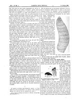 giornale/UM10003666/1885/unico/00000684