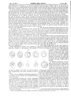 giornale/UM10003666/1886/unico/00000438