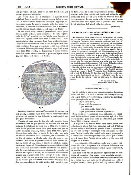 Gazzetta degli ospitali officiale per la pubblicazione degli atti del Consiglio degli Istituti ospitalieri di Milano