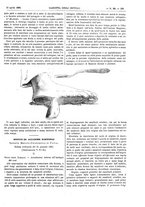 giornale/UM10003666/1888/unico/00000275