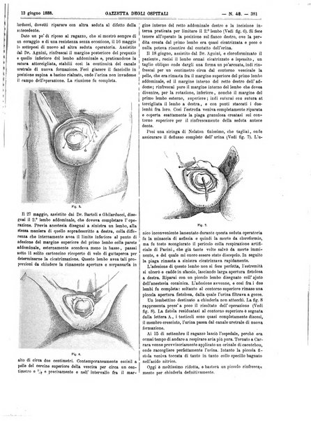 Gazzetta degli ospitali officiale per la pubblicazione degli atti del Consiglio degli Istituti ospitalieri di Milano