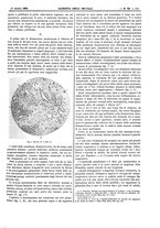 giornale/UM10003666/1889/unico/00000677