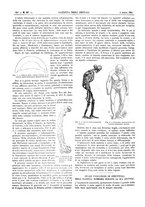 giornale/UM10003666/1893/V.14.1/00000450