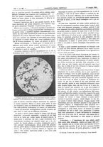 giornale/UM10003666/1893/V.14.1/00000968