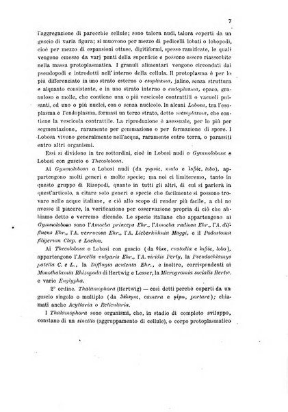 Bollettino scientifico