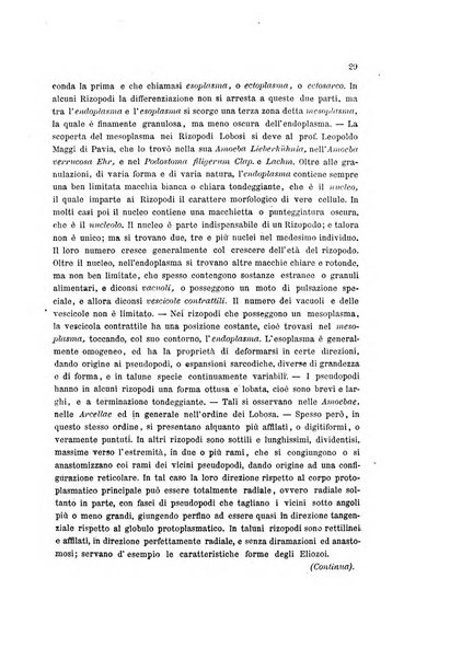 Bollettino scientifico