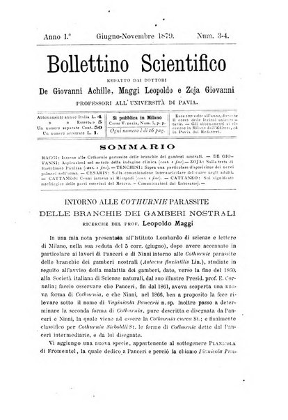 Bollettino scientifico