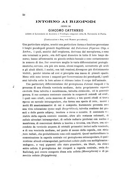 Bollettino scientifico