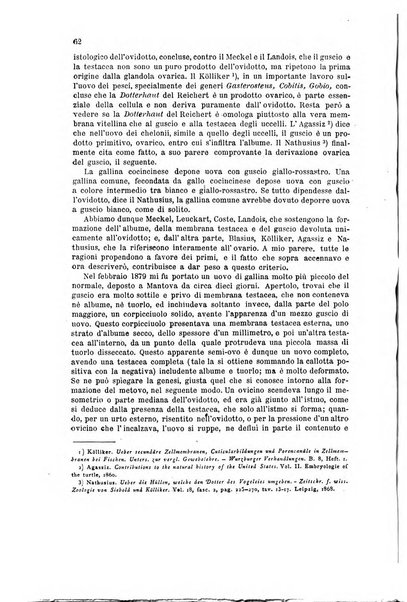 Bollettino scientifico