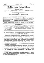 giornale/UM10004053/1879-1880/unico/00000095