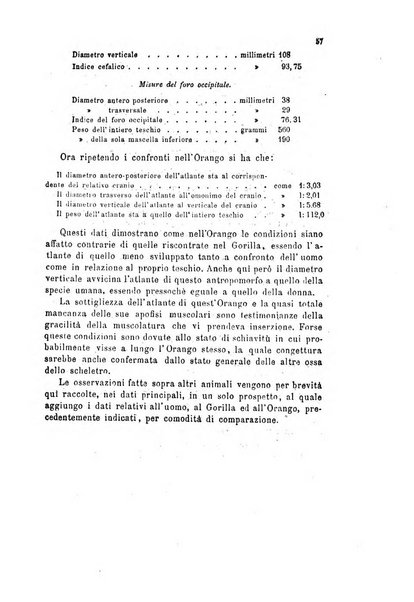 Bollettino scientifico