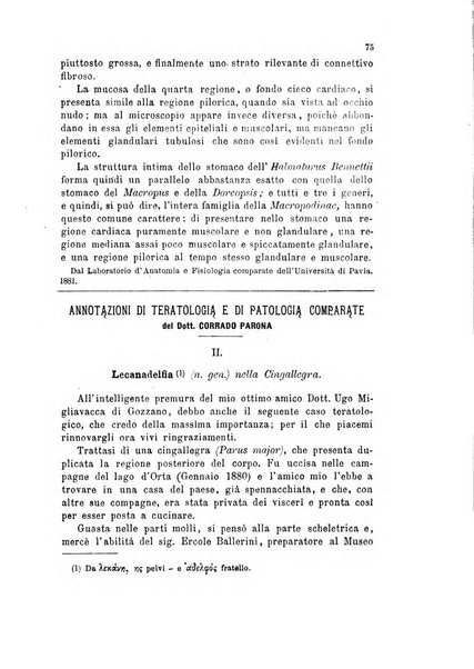 Bollettino scientifico