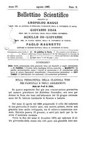 giornale/UM10004053/1881-1882/unico/00000177