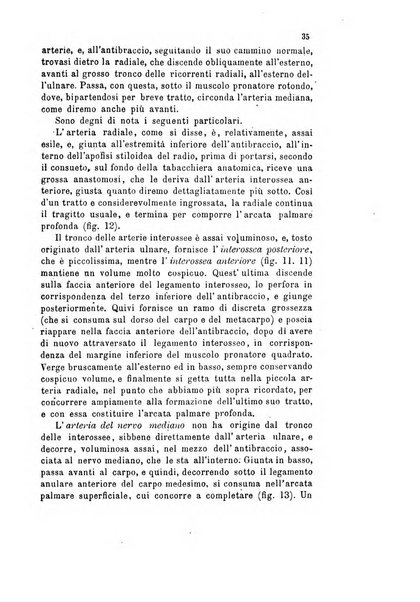 Bollettino scientifico