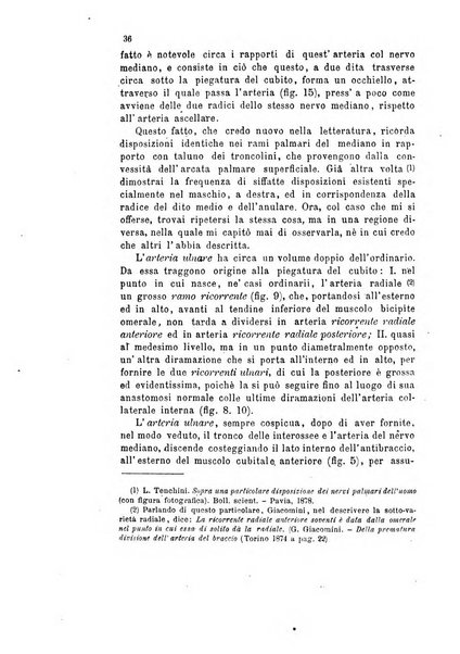 Bollettino scientifico