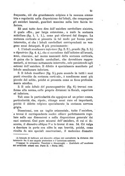 Bollettino scientifico