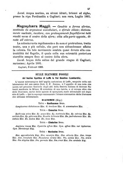 Bollettino scientifico