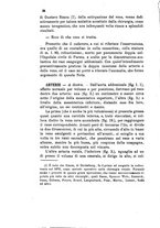 giornale/UM10004053/1883-1884/unico/00000166