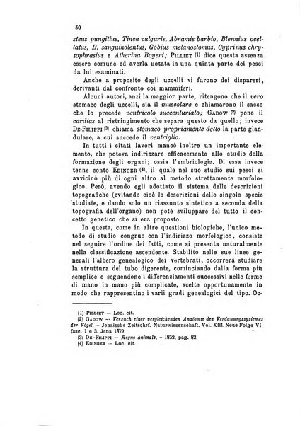 Bollettino scientifico