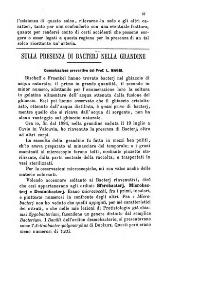 Bollettino scientifico