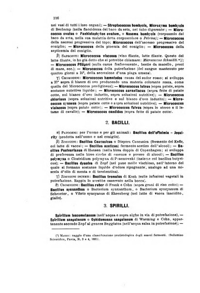 Bollettino scientifico