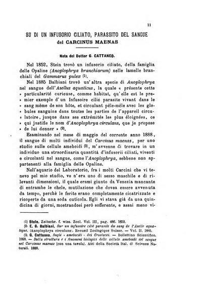 Bollettino scientifico