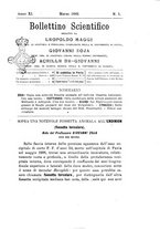 giornale/UM10004053/1889-1890/unico/00000007