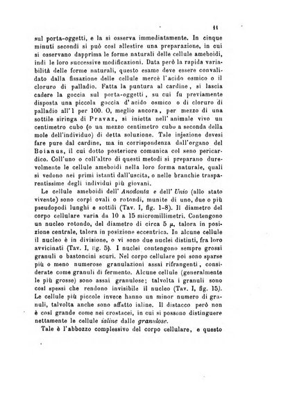 Bollettino scientifico