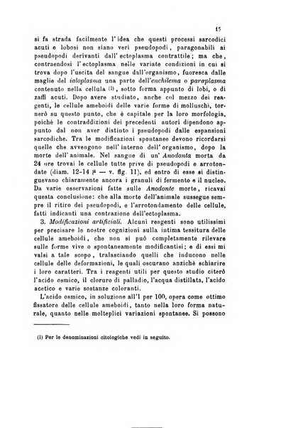 Bollettino scientifico