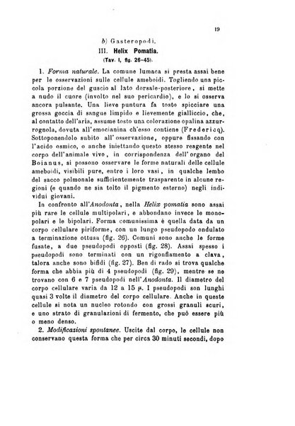 Bollettino scientifico