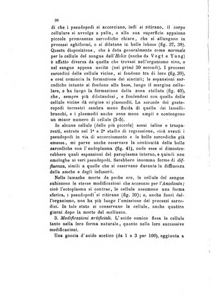 Bollettino scientifico