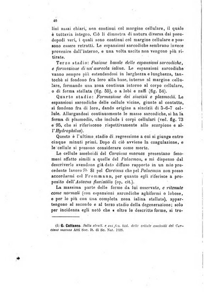 Bollettino scientifico