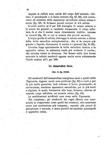 Bollettino scientifico