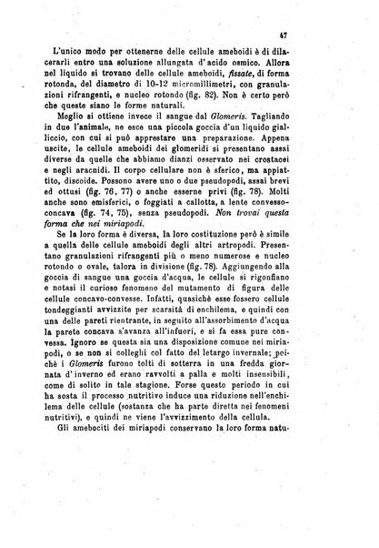 Bollettino scientifico