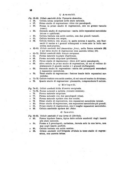 Bollettino scientifico