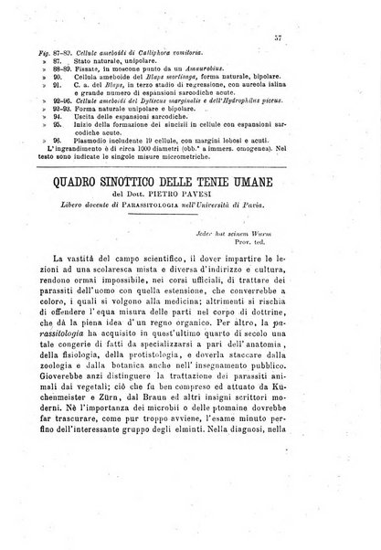 Bollettino scientifico