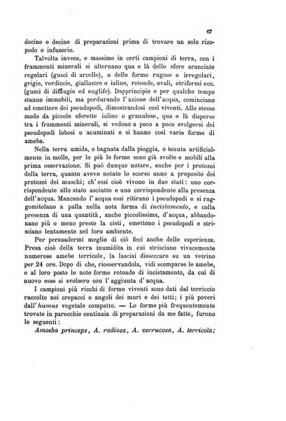 Bollettino scientifico