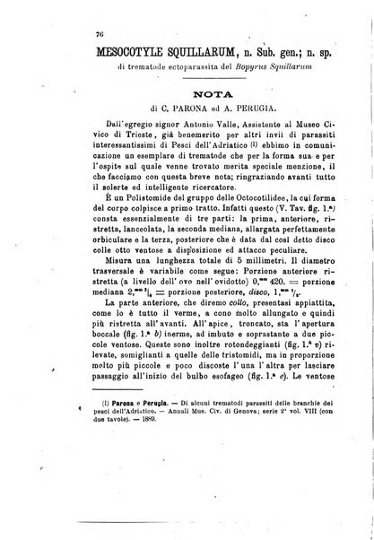 Bollettino scientifico