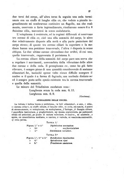 Bollettino scientifico