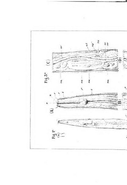 Bollettino scientifico