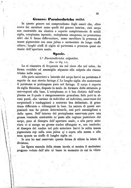 Bollettino scientifico