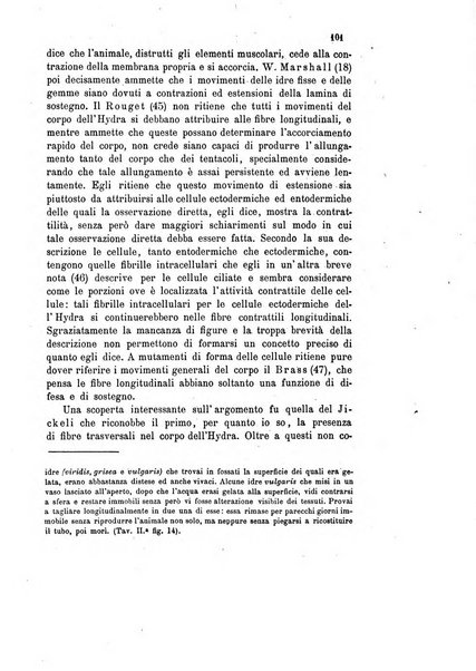 Bollettino scientifico